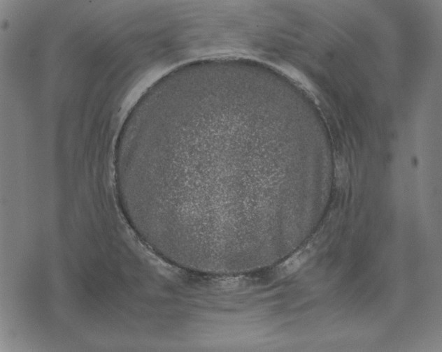 X0000072551279200607281639