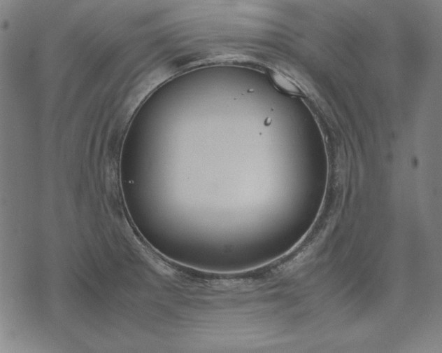 X0000072551281200607281639