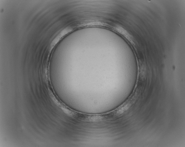 X0000072551282200607281639