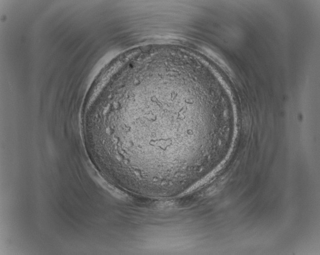 X0000072551283200607281639