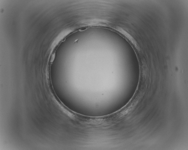 X0000072551285200607281639