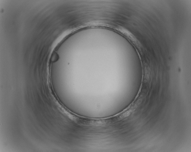 X0000072551286200607281639