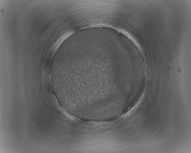 X0000072551289200607281639