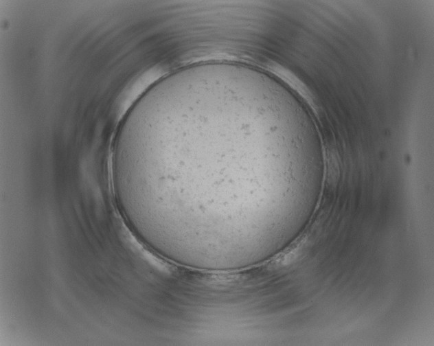 X0000072551290200607281639