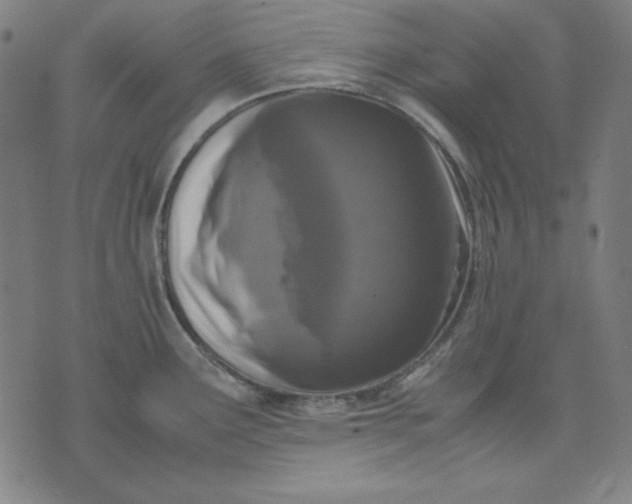 X0000072551291200607281639