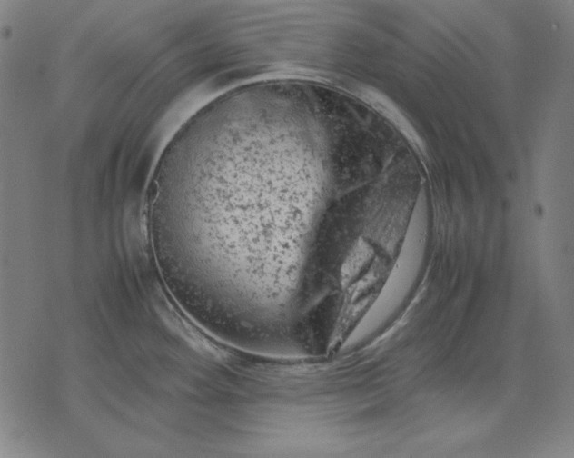 X0000072551292200607281639