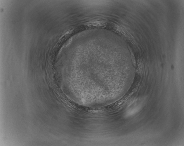 X0000072551297200607281638