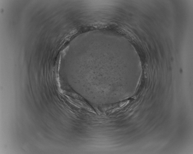 X0000072551298200607281638