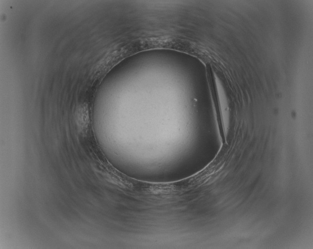 X0000072551299200607281638