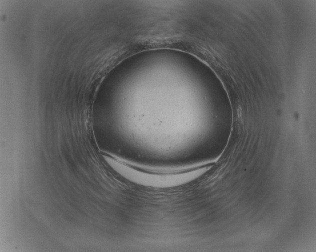 X0000072551300200607281638