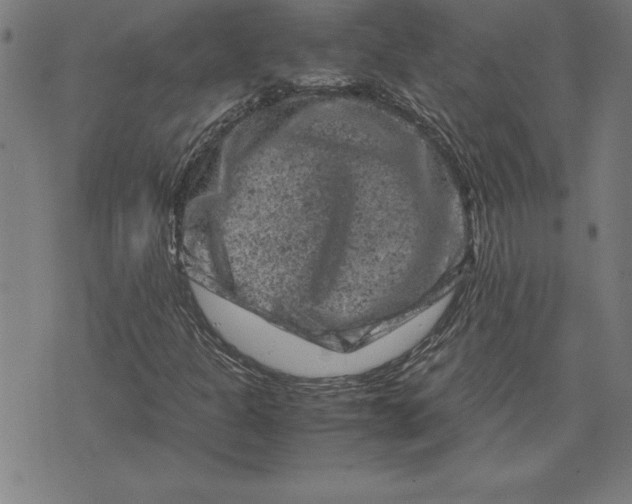 X0000072551301200607281638