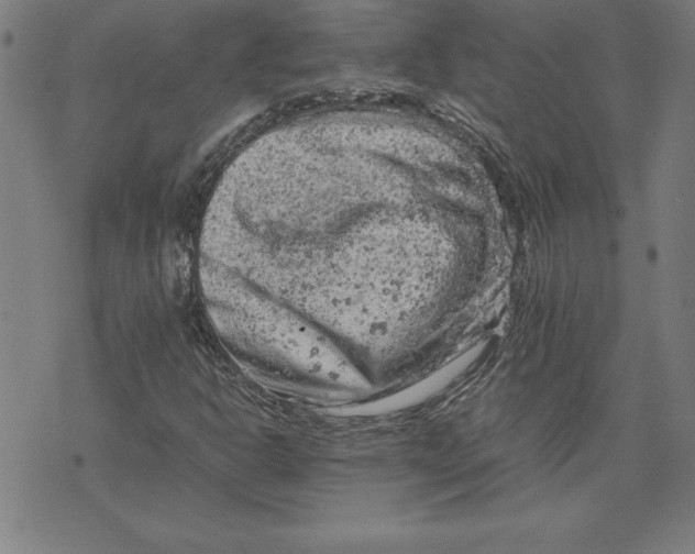 X0000072551302200607281638