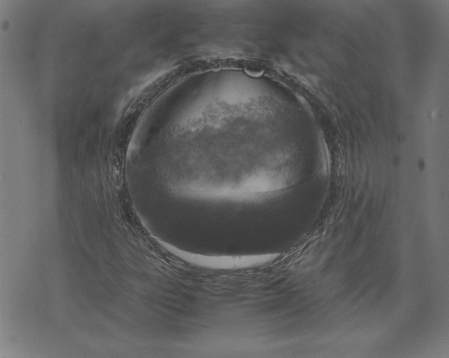 X0000072551303200607281638