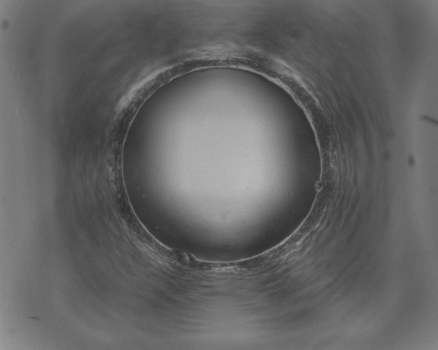 X0000072551304200607281638