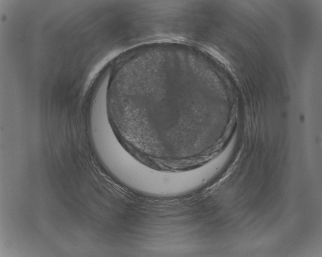 X0000072551310200607281639