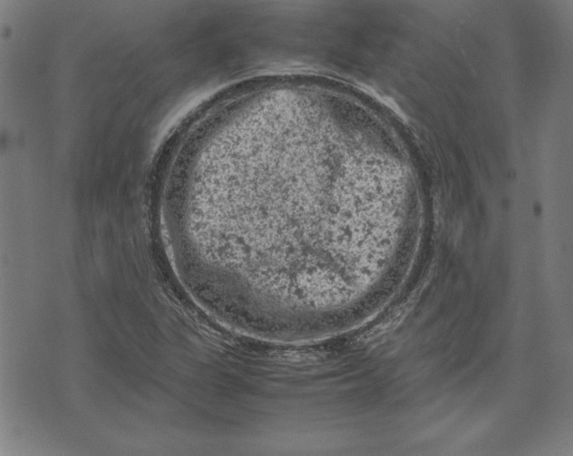 X0000072551311200607281639