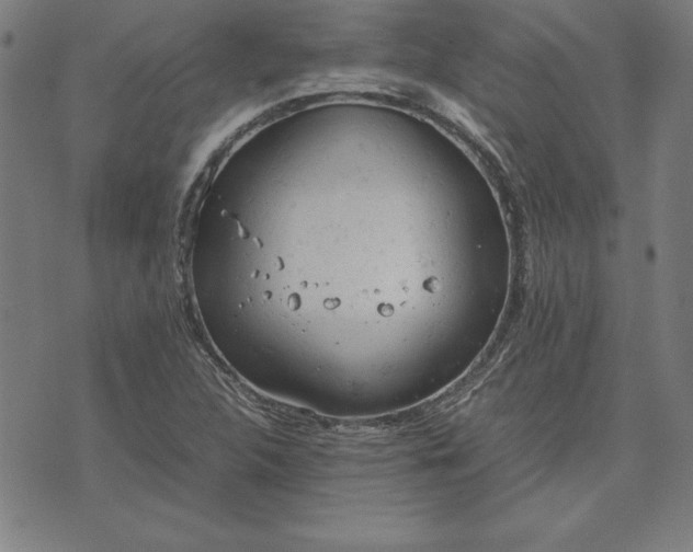 X0000072551312200607281639