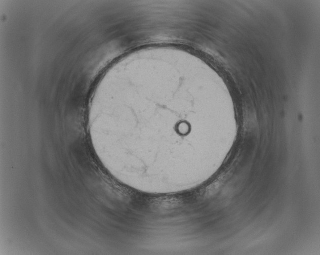 X0000072551314200607281639