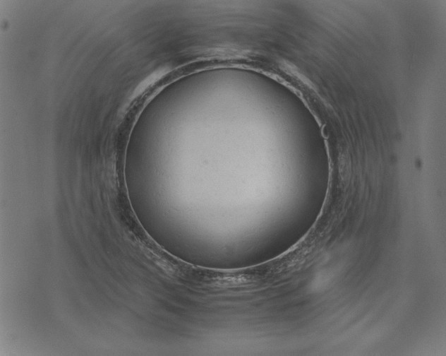 X0000072551315200607281639