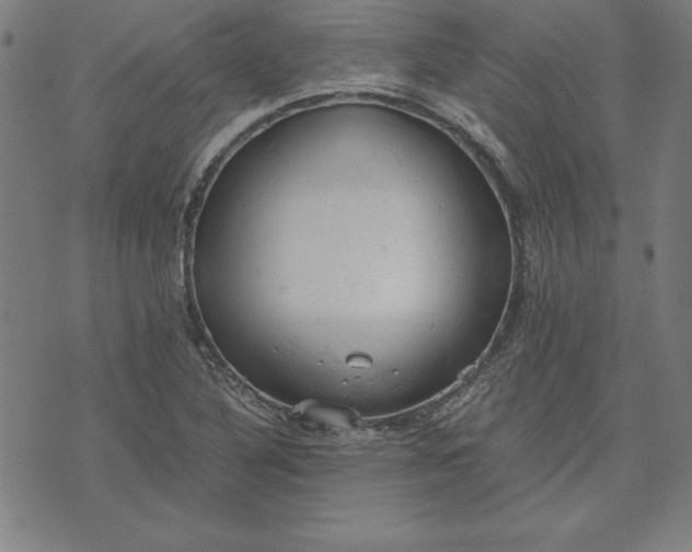 X0000072551316200607281639