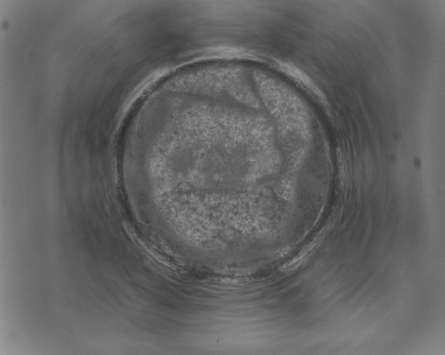 X0000072551318200607281639