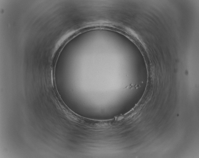 X0000072551320200607281639