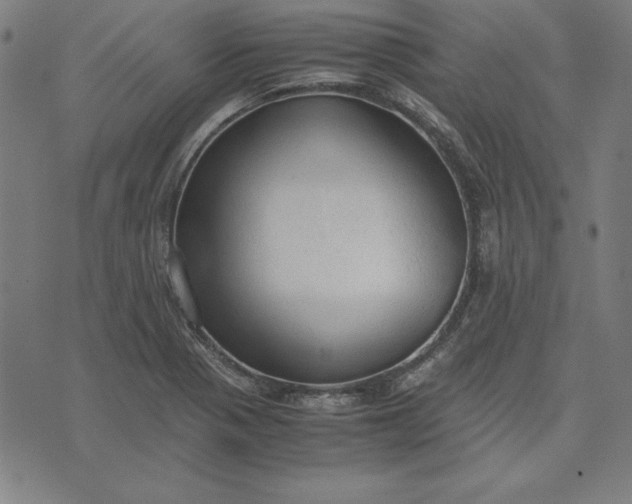 X0000072551321200607281639