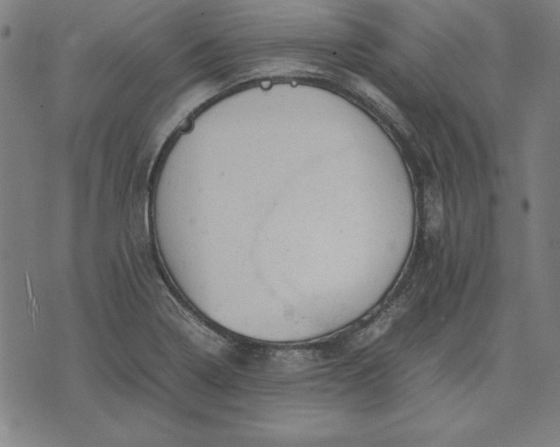 X0000072551322200607281639