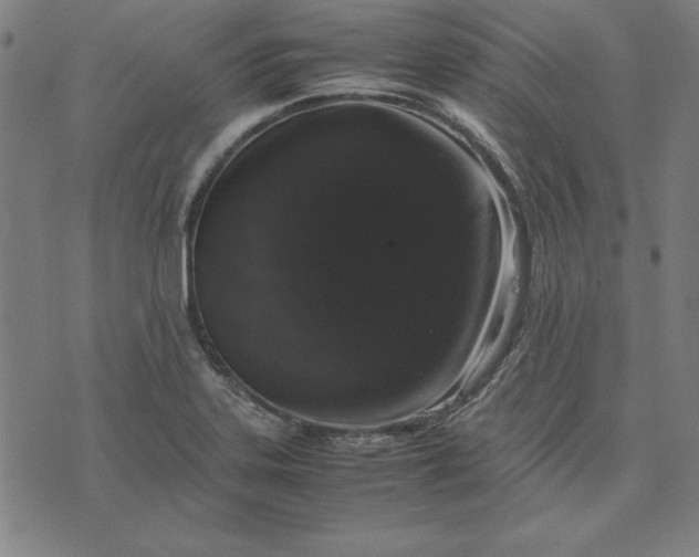 X0000072551323200607281639