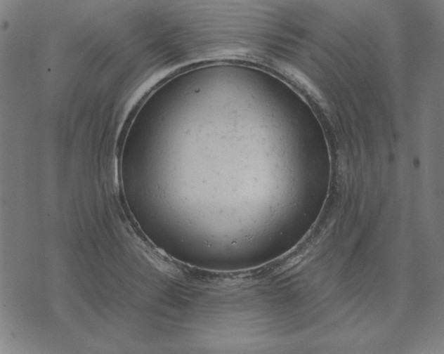 X0000072551324200607281639