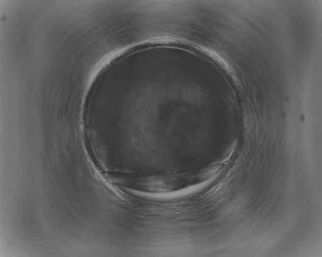 X0000072551327200607281639