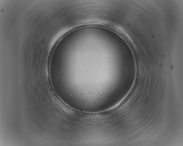 X0000072551328200607281639