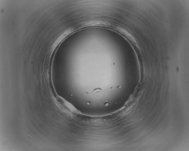 X0000072551330200607281639