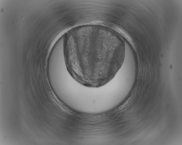 X0000072551332200607281639