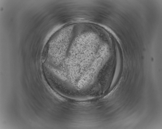 X0000072551333200607281639