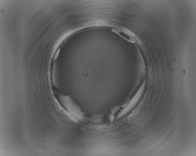 X0000072551334200607281639