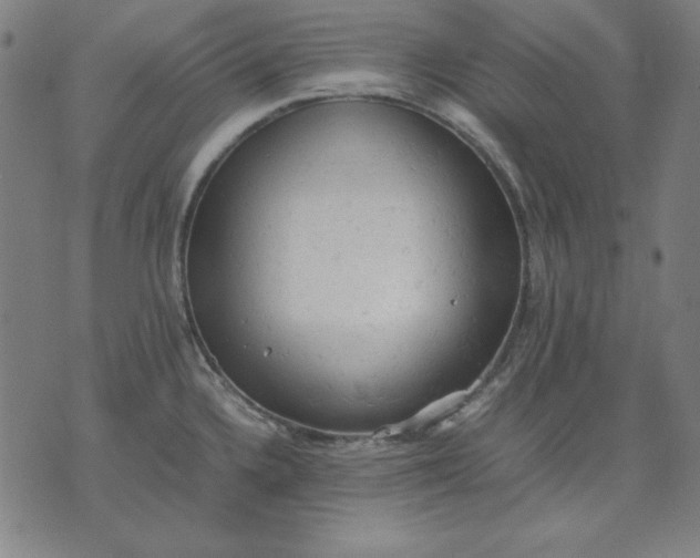 X0000072551336200607281639