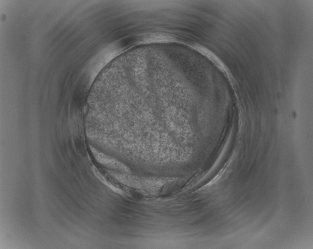 X0000072551337200607281639