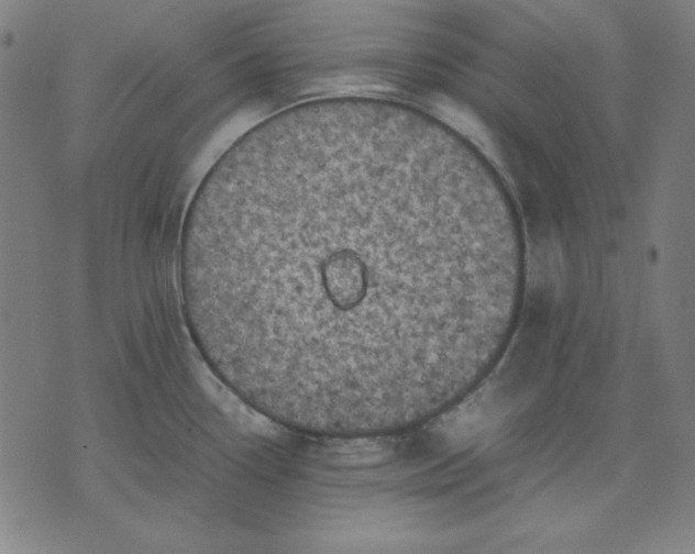 X0000072551338200607281639