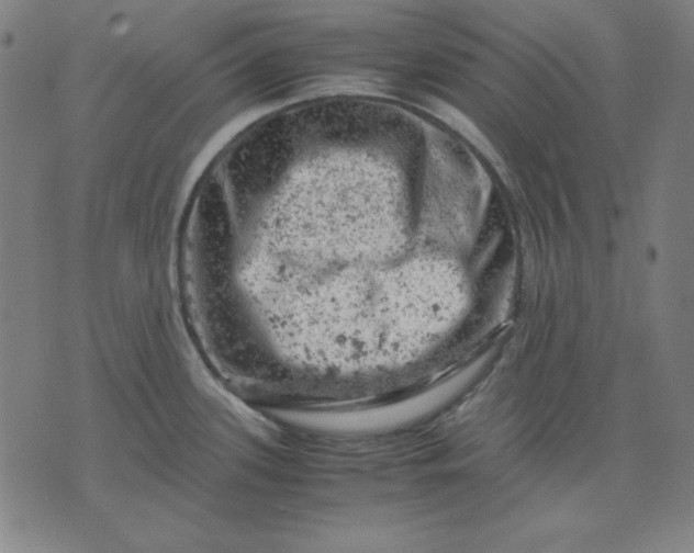 X0000072551339200607281639