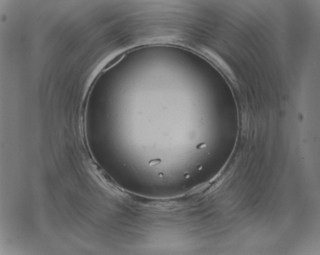 X0000072551340200607281639