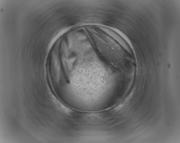 X0000072551341200607281639