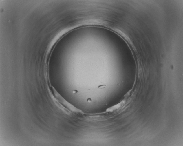 X0000072551342200607281639