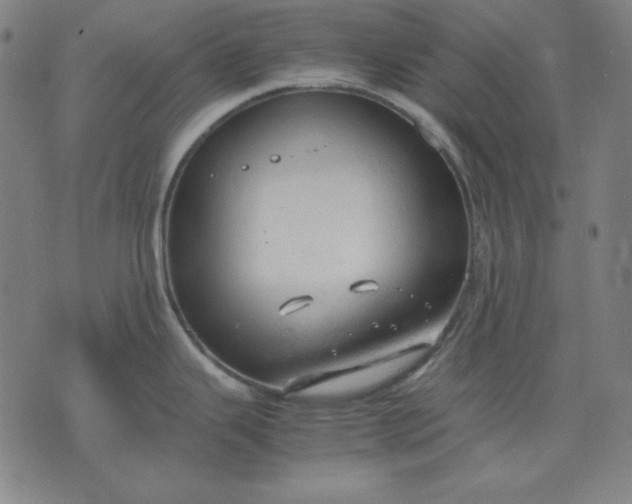 X0000072551343200607281639