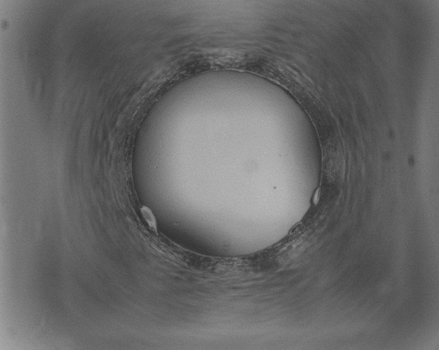 X0000072551345200607281638