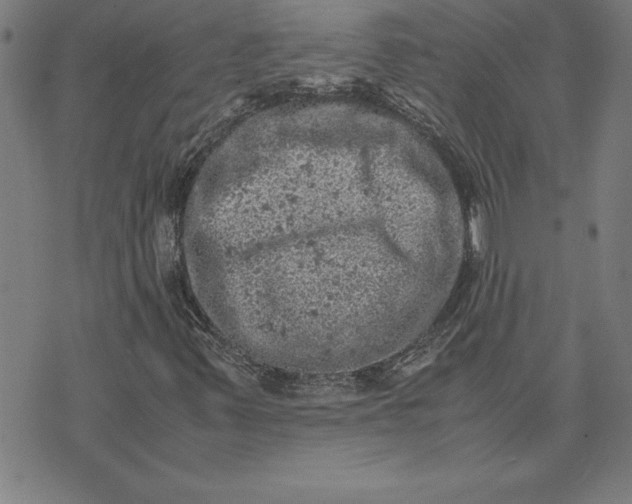 X0000072551347200607281638