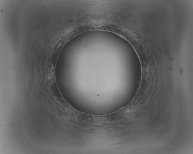 X0000072551349200607281638