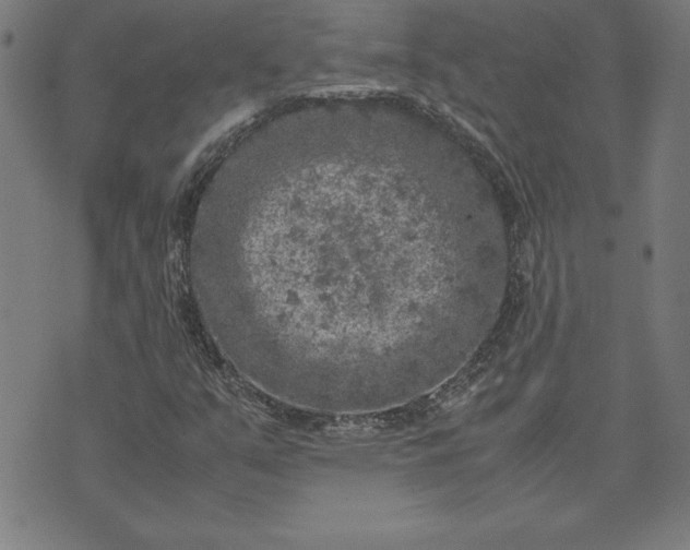 X0000072551351200607281638