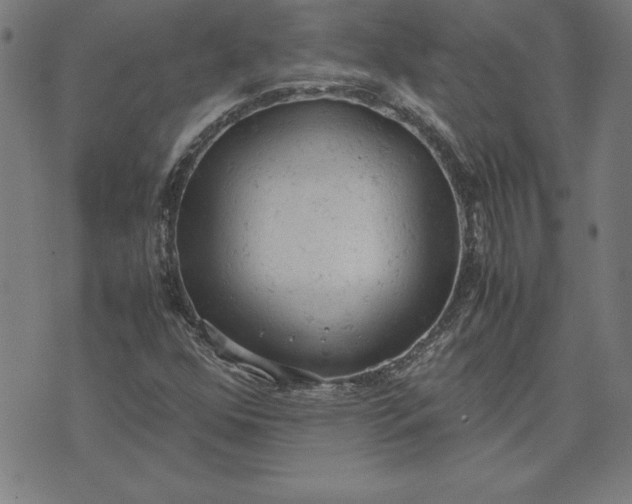 X0000072551352200607281638