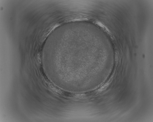 X0000072551353200607281638